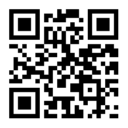 Bundle.version This integer config.