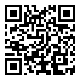 Host language allowing their direct evaluation.