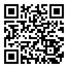 Directories. Performance of commands.